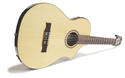 Line 6 Variax Acoustic 300 Nylon